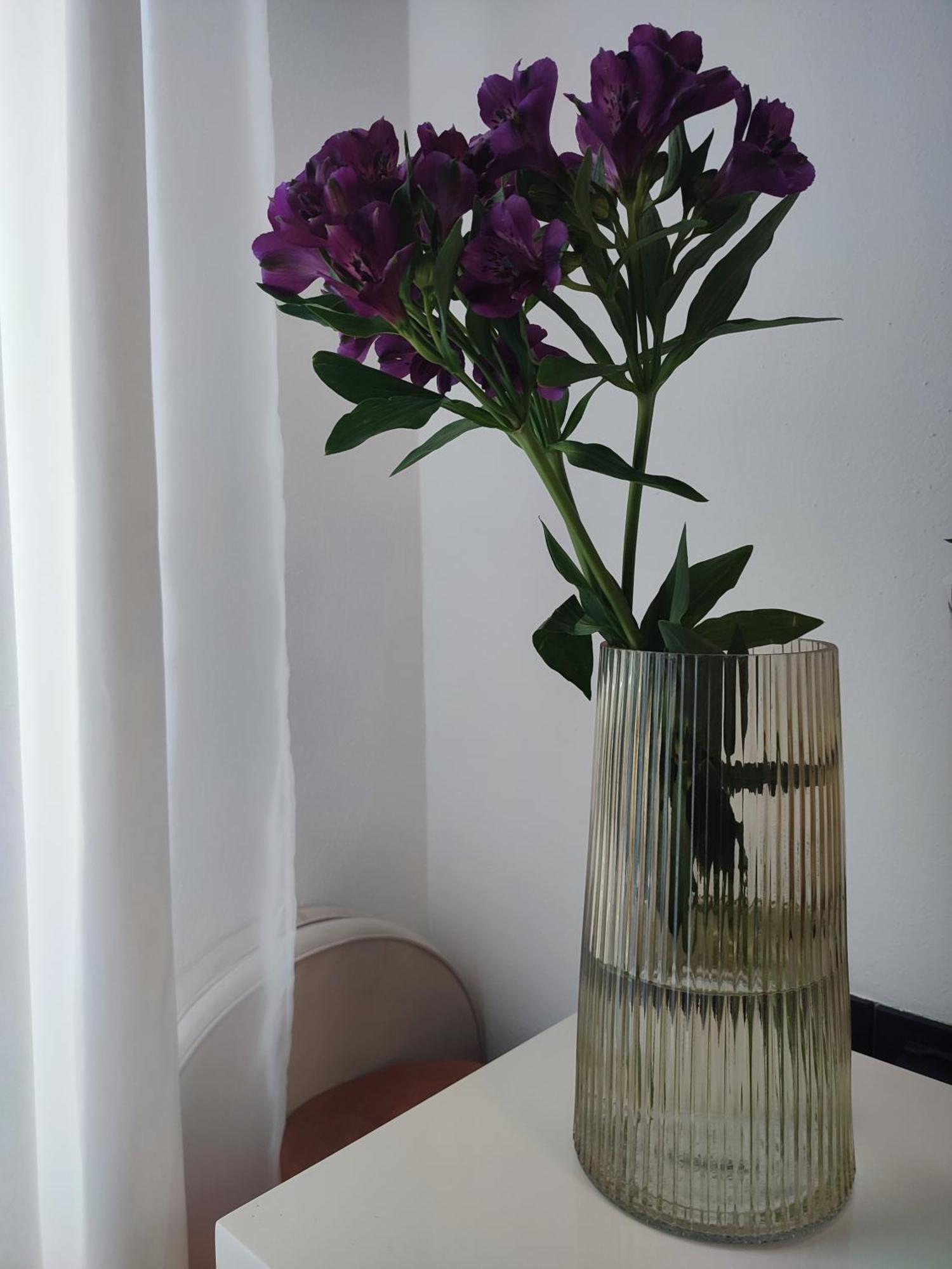 Appartement Apartman Tera à Dobreć Extérieur photo